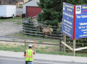 sturgis 2015 75th 332.resized